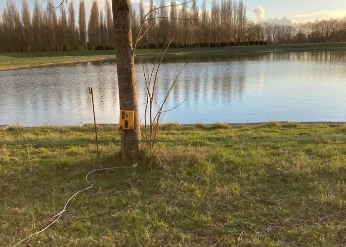 Château De La Thibaudière - De La Reine